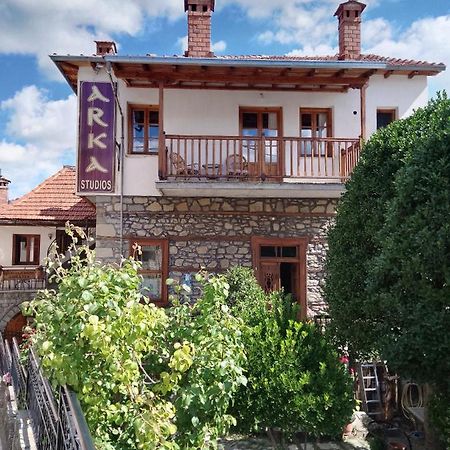Arka Metsovo Hotel Bagian luar foto