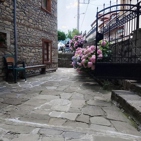 Arka Metsovo Hotel Bagian luar foto