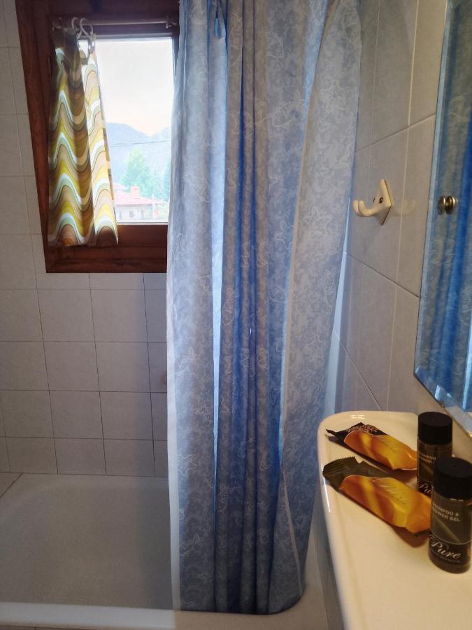Arka Metsovo Hotel Bagian luar foto