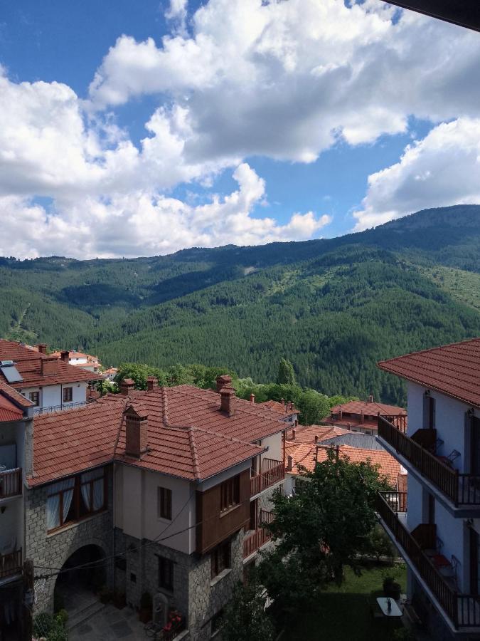 Arka Metsovo Hotel Bagian luar foto