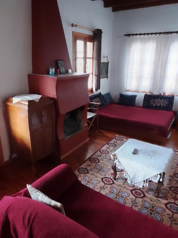 Arka Metsovo Hotel Bagian luar foto