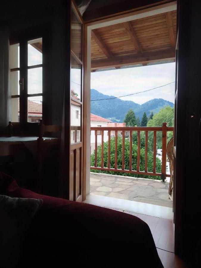 Arka Metsovo Hotel Bagian luar foto