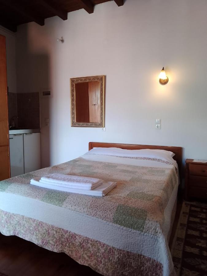 Arka Metsovo Hotel Bagian luar foto