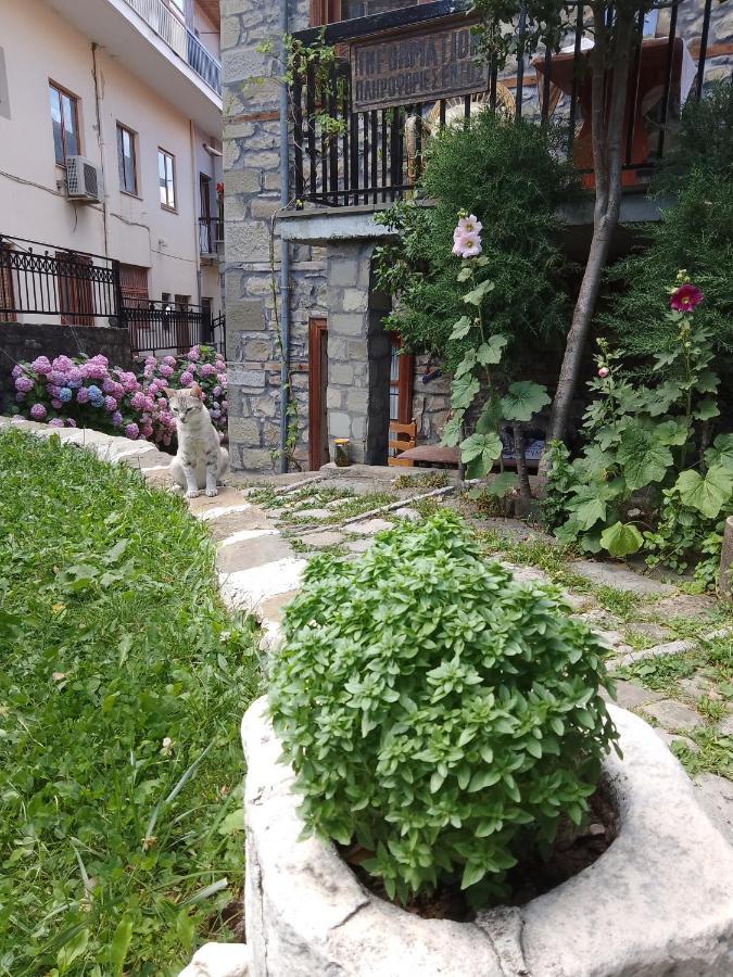 Arka Metsovo Hotel Bagian luar foto