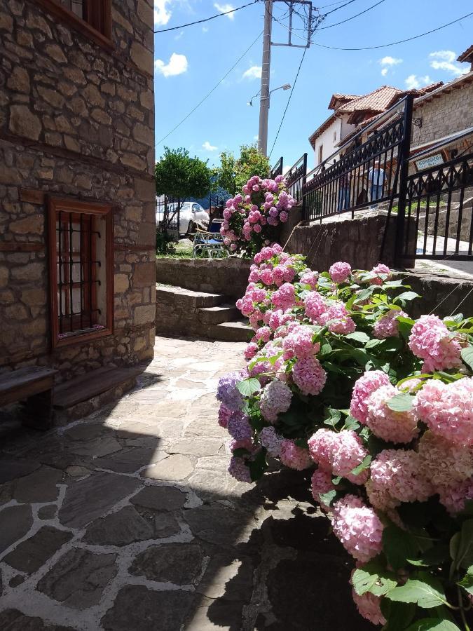 Arka Metsovo Hotel Bagian luar foto