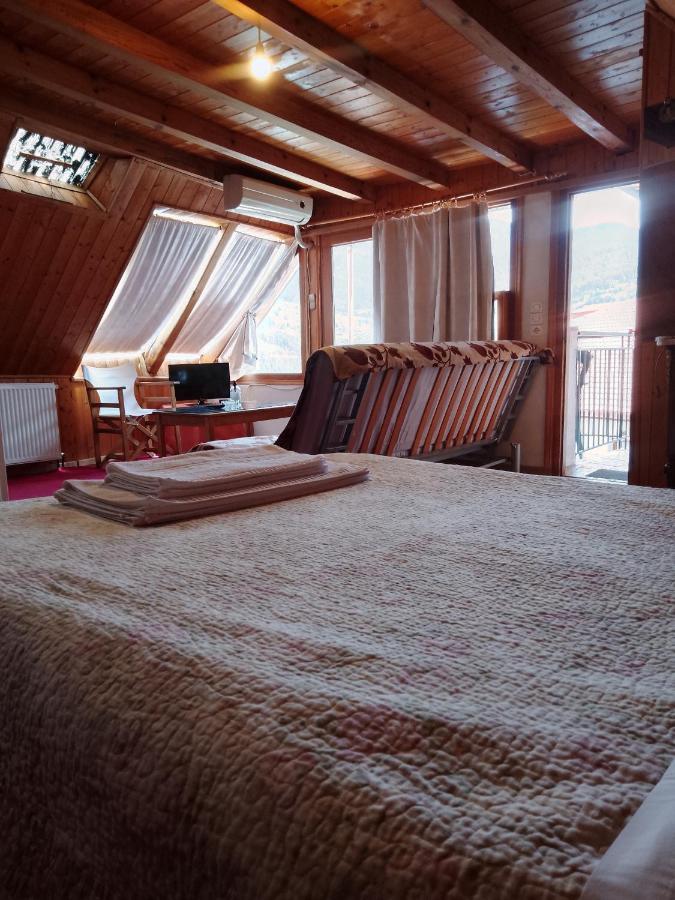 Arka Metsovo Hotel Bagian luar foto