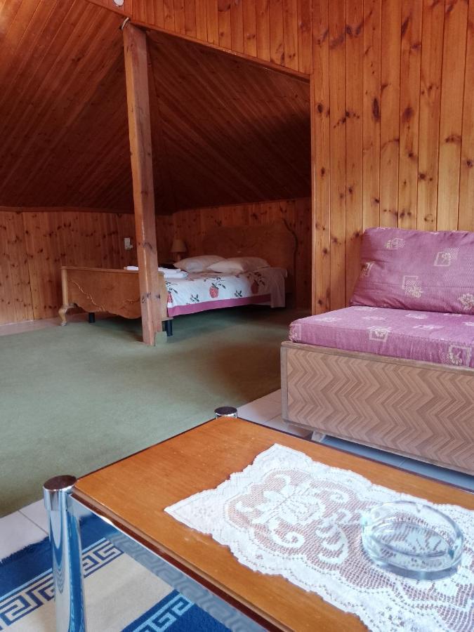 Arka Metsovo Hotel Bagian luar foto