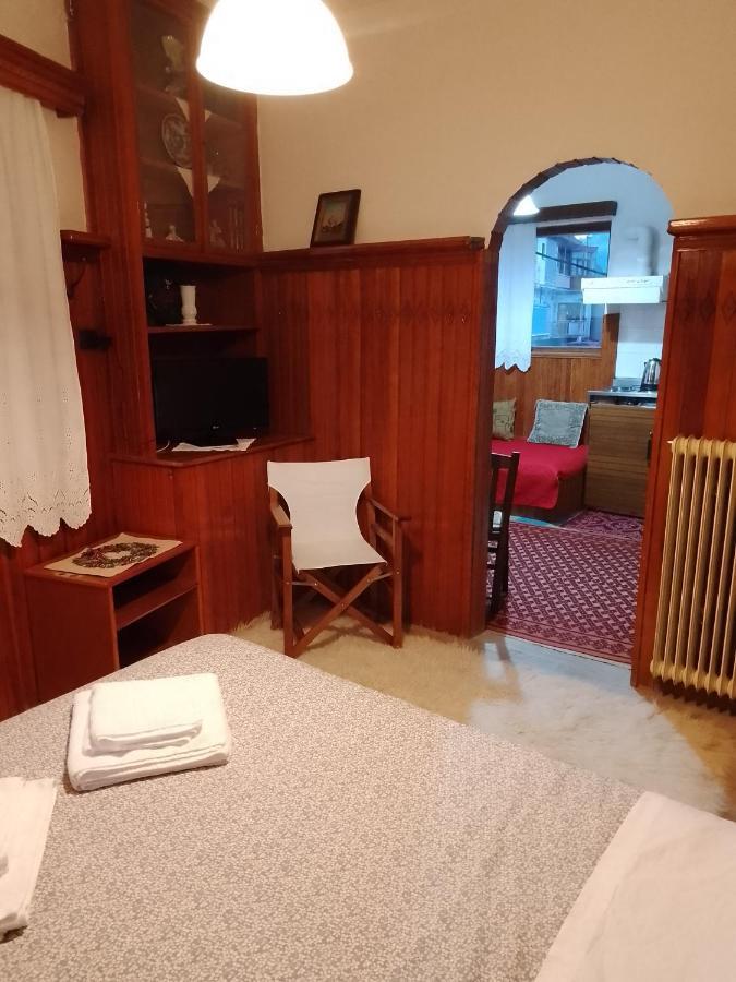 Arka Metsovo Hotel Bagian luar foto
